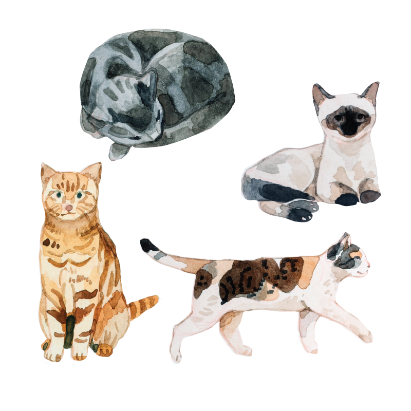 Artist Series Stickers: Cats (STC-514)