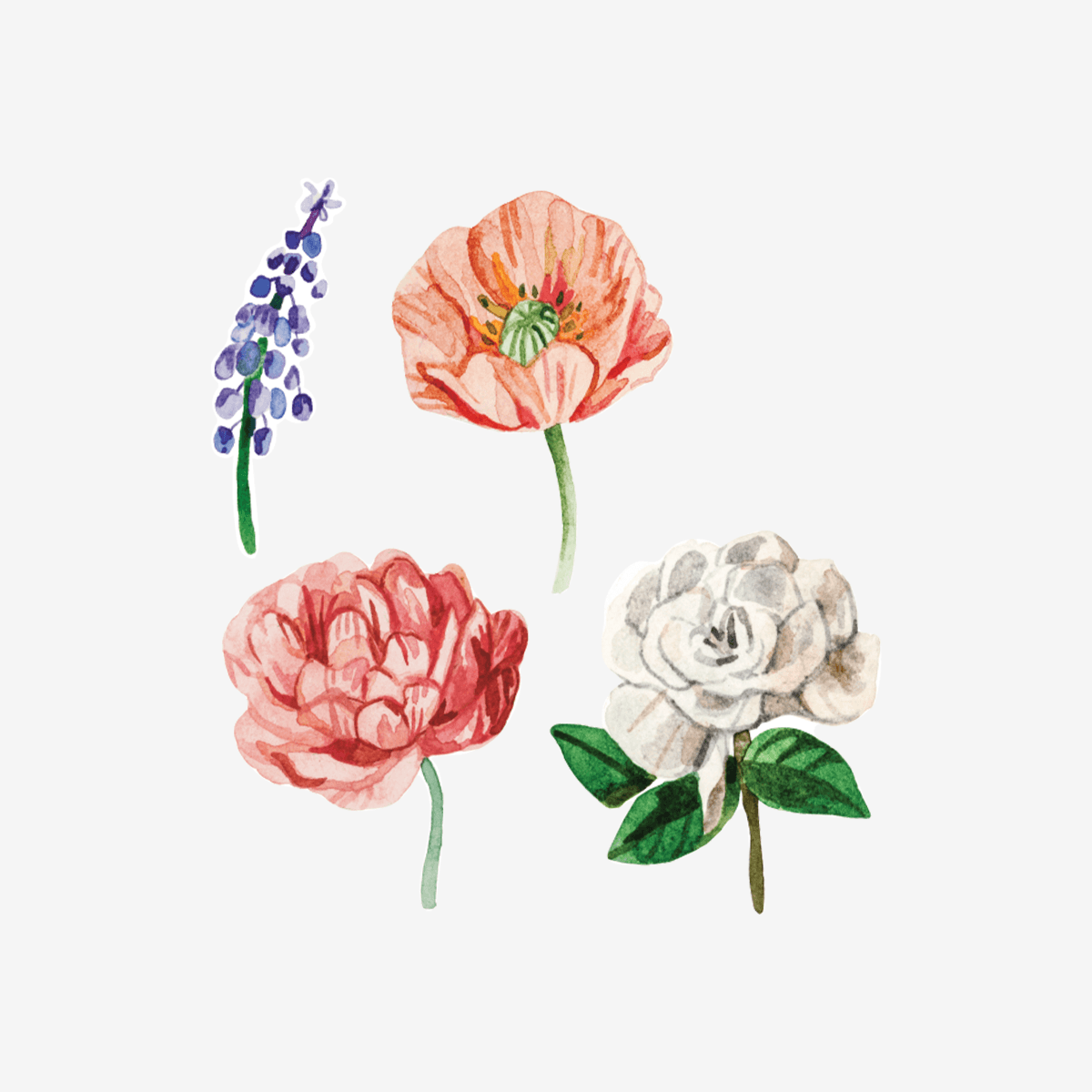 Artist Series Stickers: Poppy, Magnolia, Peony, Muscari (STC-504)